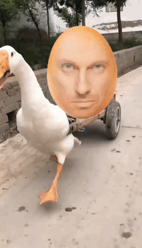 Duck Pulling Cart With Man's Head