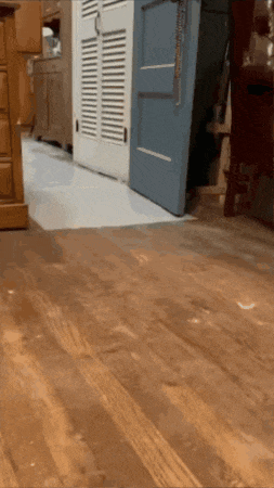 Duck Running Away Gif GIF