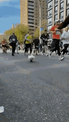 Duck Running In Triathlon GIF