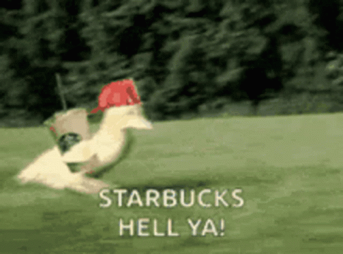 Duck Running on Green Field with Starbucks Hell Ya