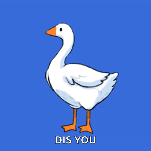 Duck Saying Dis You