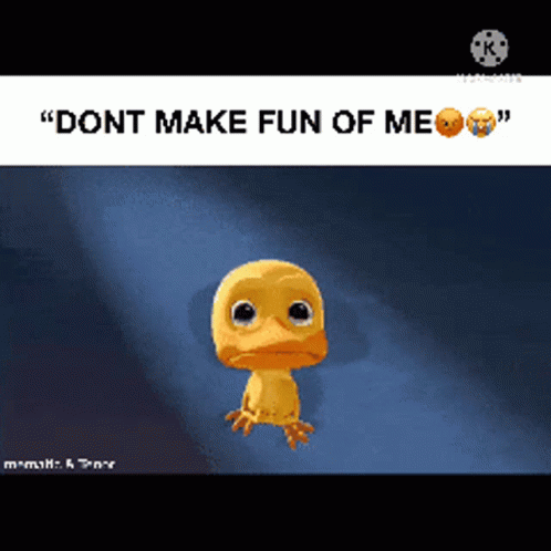 Duck Saying Don't Make Fun Of Me GIF