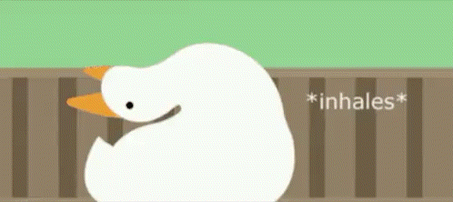 Duck Saying Inhales GIF