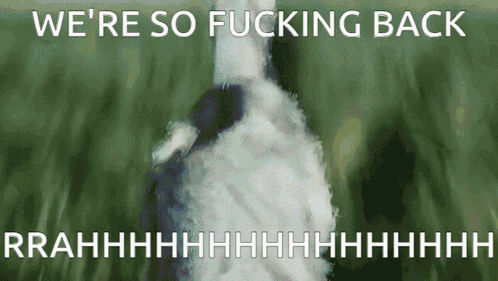 Duck Saying We're So Fucking Back