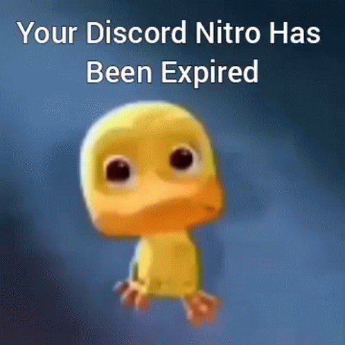 Duck Saying Your Discord Nitro Has Been Expired