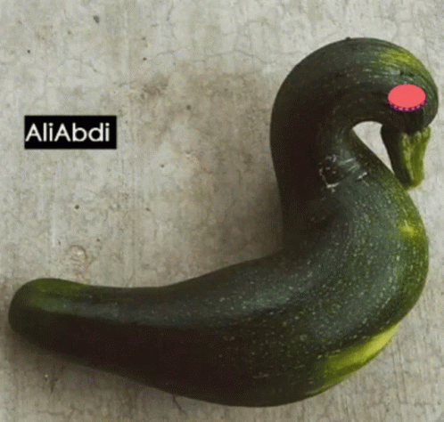 Duck Shaped Zucchini Aliabdi GIF