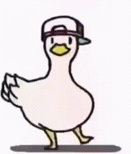Duck Spinning 423 X 498 Gif GIF