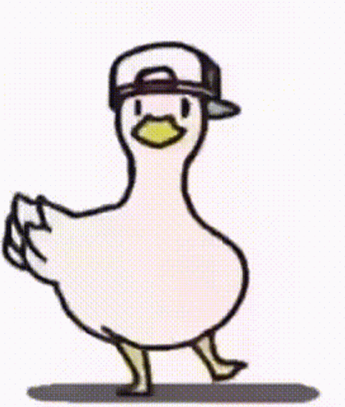 Duck Spinning GIF