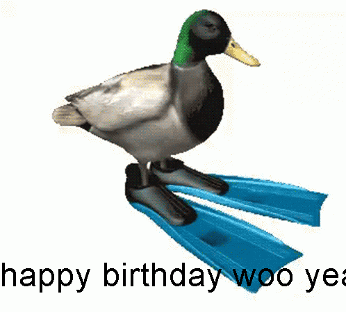 Duck Spinning Happy Birthday GIF