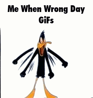 Duck Standing With Me When Wrong Day Gifs
