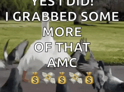 Duck Surrounded By Pigeons With Bags of Money