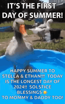 Duck Swimming in Water With First Day of Summer