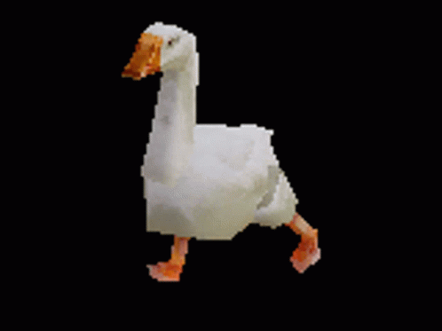 Duck Waddle With Feet Apart GIF