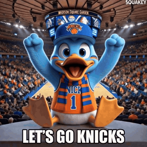 Duck Wearing Nick 1 Jersey Madison Square Garden