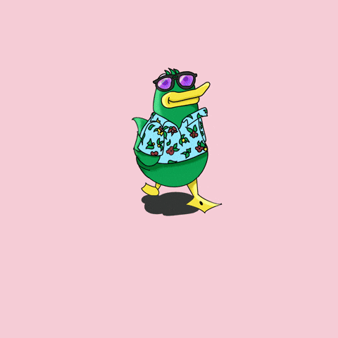 Duck Wearing Shades And Polo Waddle GIF