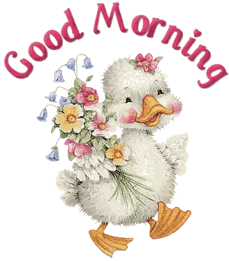 Duck with Flowers Good Morning