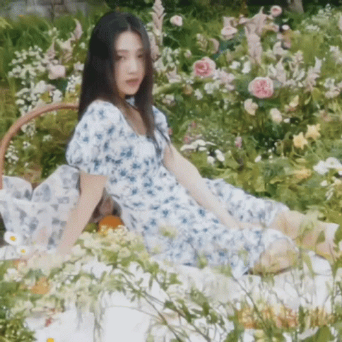 Ducklings In Field Of Flowers GIF