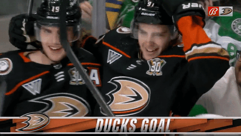 Ducks Hockey Players Celebrate Goal GIF