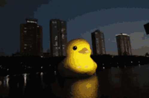 Ducky City Dark Night GIF