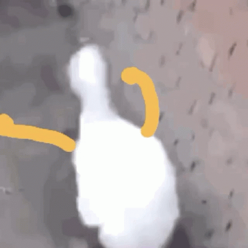 Ducky Dance Doodle Hands GIF