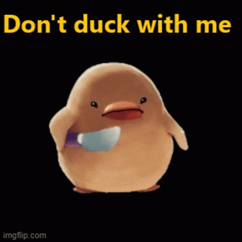 Ducky Don't Duck With Me GIF