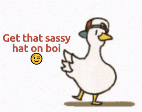 Ducky Get That Sassy Hat On Boi GIF