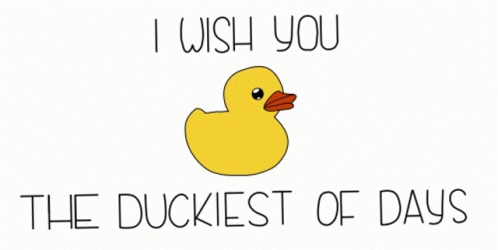 Ducky I Wish You The Duckiest Of Days GIF
