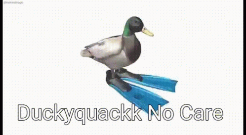 Ducky Quack No Care Spin GIF