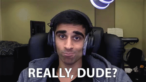 Really Dude GIF