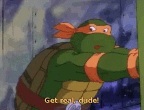 Teenage Ninja Turtle Dude GIF