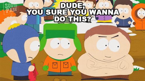 Dude You Sure You Wanna Do This Cartoon