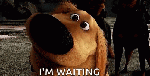 Dug Days Dog Waiting Patiently GIF