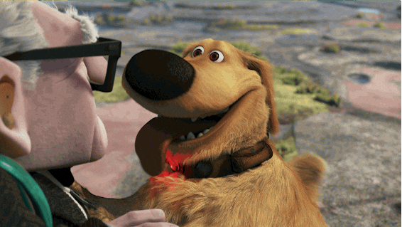 Dug Smiles Playful At Carl Fredricksen GIF