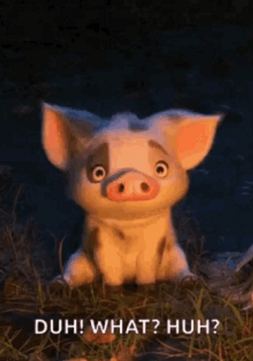 Duh Confused Pig GIF