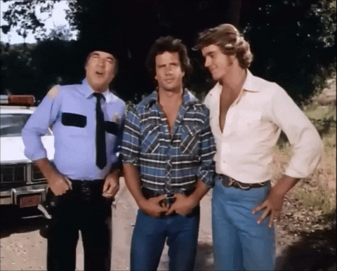Dukes Of Hazzard Boys Best Friend GIF