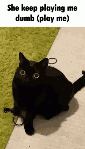 Dumb Black Cat She Keep Playing Me GIF