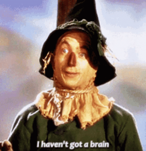 Dumb I Haven't Got A Brain GIF