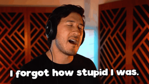Dumb Markiplier Says I Forgot How Stupid GIF