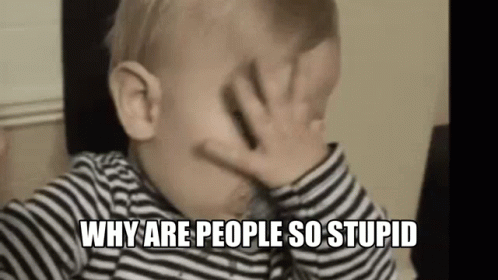 Dumb Baby Why Are People So Stupid GIF