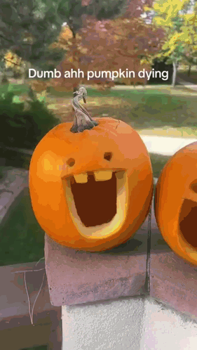 Dumb Ahh Pumpkin Dying Is Written On The Bottom Of A Picture Of Two Pumpkins GIF