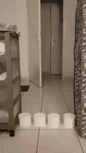 Dumb And Dumber Bathroom Jumping Cat GIF