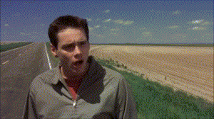 Dumb And Dumber Mr. Perfect GIF