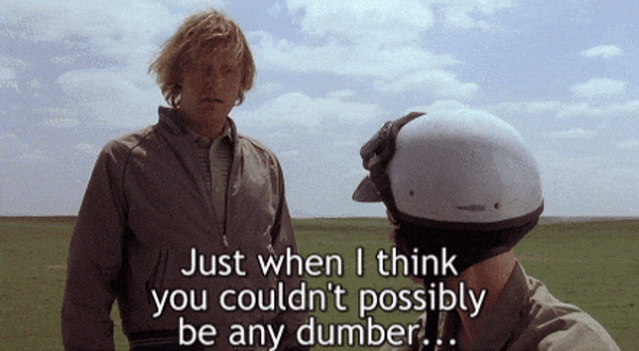 Dumb And Possibly Be Dumber Scooter GIF