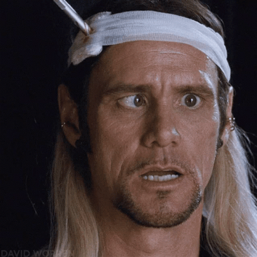 Dumb Burt Wonderstone GIF