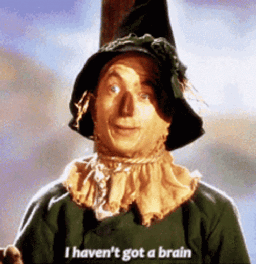 Dumb I Haven't Got A Brain GIF