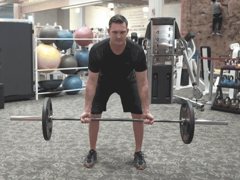 Dumbbell Row Bent Over Row GIF