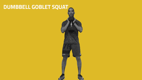 Dumbbell Row Goblit Squat GIF