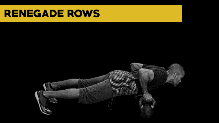 Dumbbell Row Renegade Rows GIF