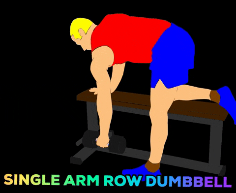 Dumbbell Row Single Arm 3d Art GIF