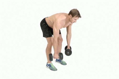 Dumbbell Row Two Hands Bent Over Row GIF